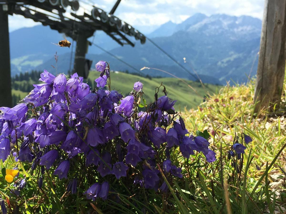 Ferienwohnung Kogelblick Gosau Exteriör bild