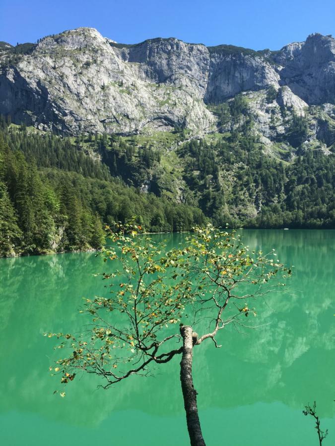 Ferienwohnung Kogelblick Gosau Exteriör bild